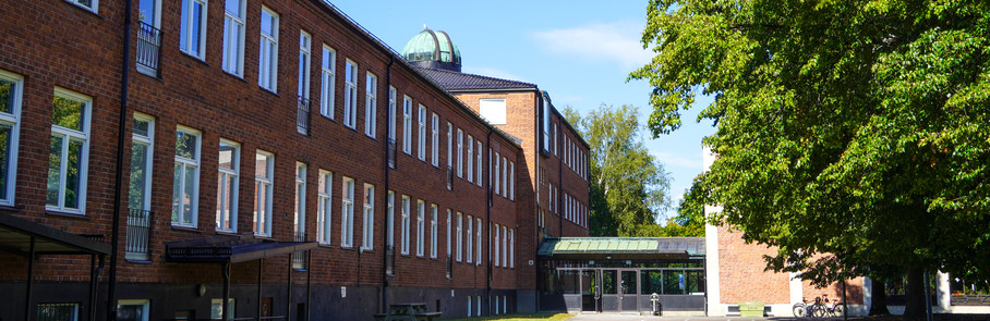 Häggviksskolan