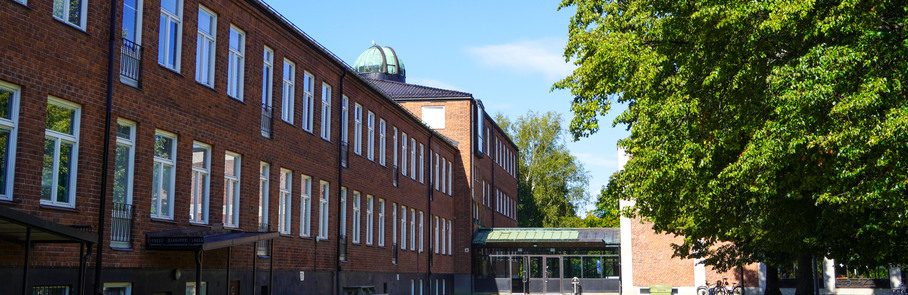 Häggviksskolan