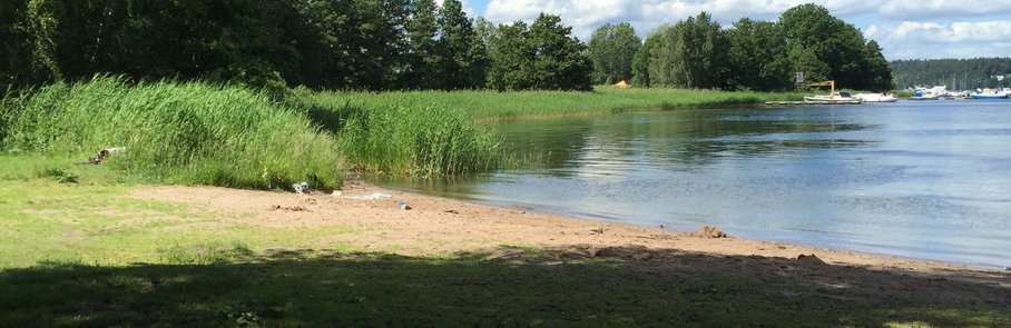 En stor vattensamling som ligger intill en grönskande skog.