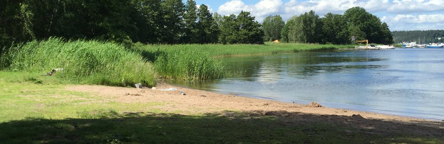 En stor vattensamling som ligger intill en grönskande skog.