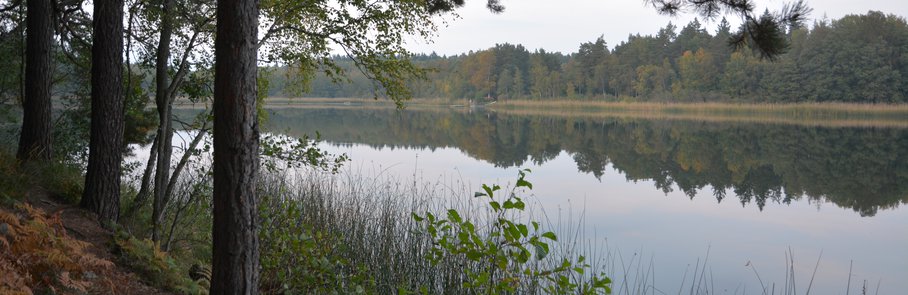 Rösjöskogens naturreservat
