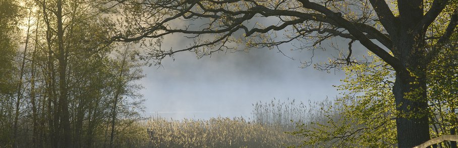 Morgonstämning vid Ravalen.Järvafältets naturreservat.Sollentuna, Uppland.