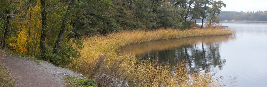 Strandspromenaden i Tegelhagsskogens naturreservat